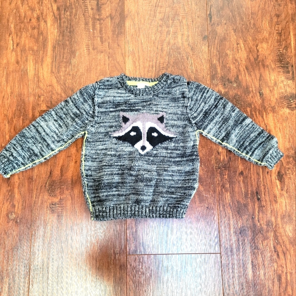Petit Lem Baby Boys 18-24 months sweater with Raccoon on front